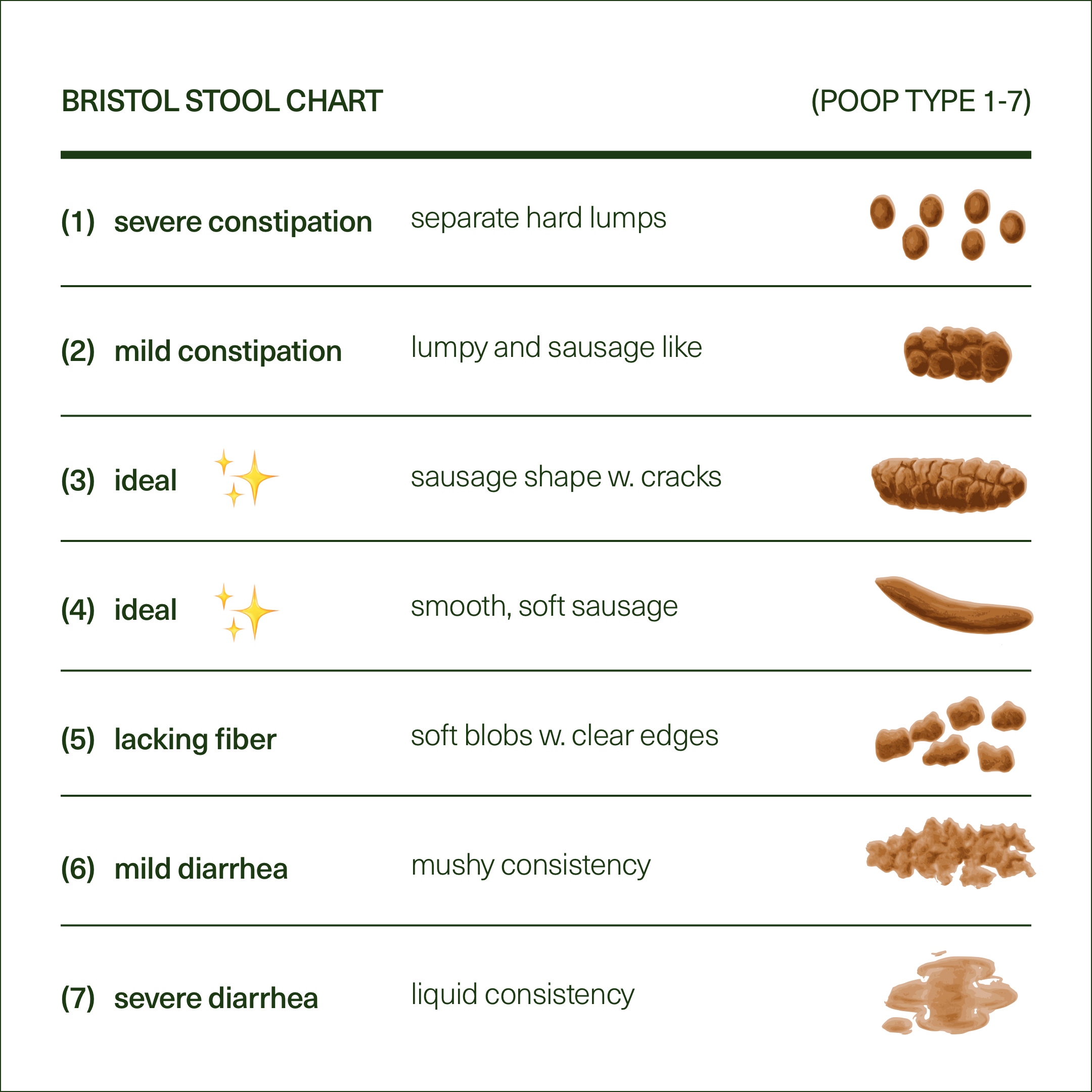 How to Read the Bristol Stool Chart - Poop Types 1-7 • Seed