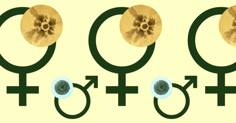 https://seed.com/wp-content/uploads/2019/08/The-Women’s-Health-Revolution-Is-Finally-Here.-Thank-Your-Microbes_1200x628-768x402.png