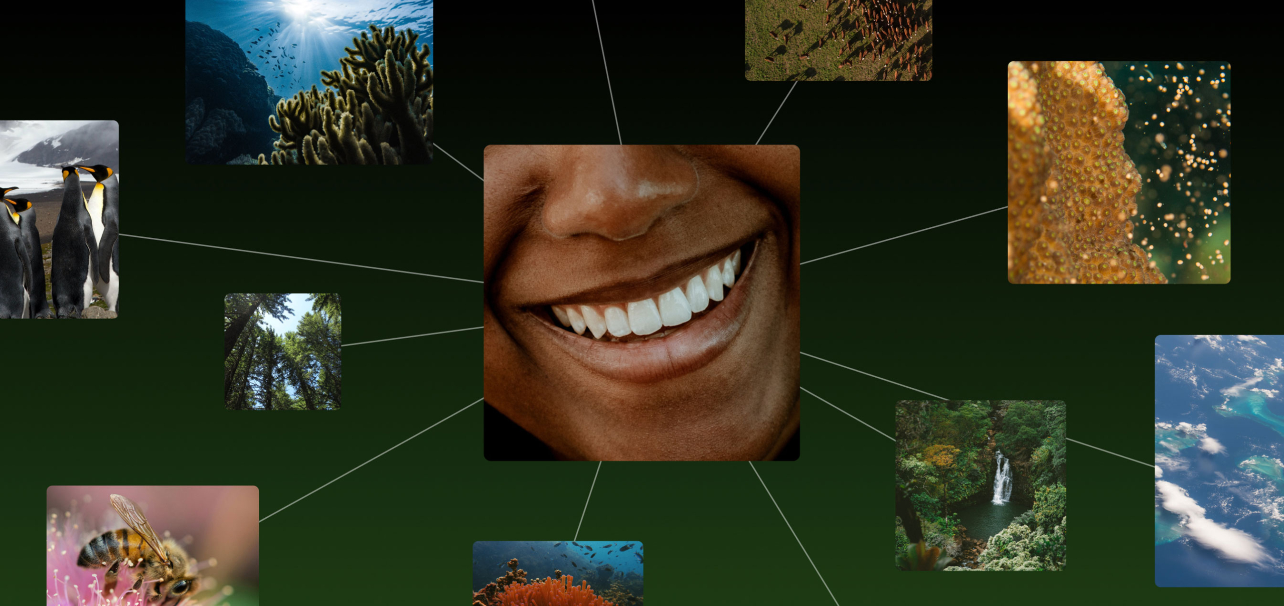 https://seed.com/wp-content/uploads/2023/04/hero-scaled.jpg