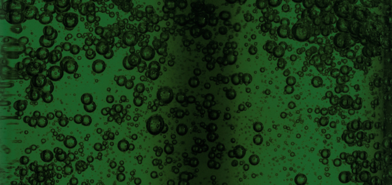 https://seed.com/wp-content/uploads/2025/02/SEO_ShouldITakeProbiotics_Cultured_0225-768x362.jpg