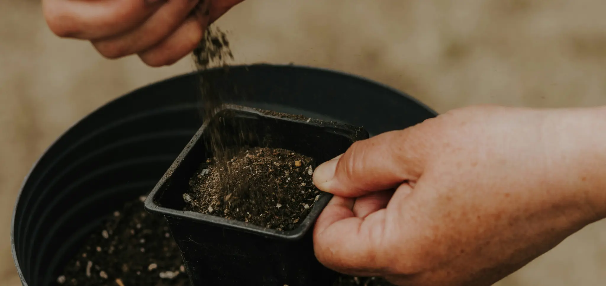 https://seed.com/wp-content/uploads/2025/03/OurFoodSystemisBroken_Cultured_041725-2048x966.jpeg