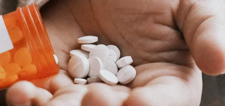 https://seed.com/wp-content/uploads/2025/03/SEO_Batch7_DoAntibioticsKillGoodBacteria_Cultured_0325-768x362.jpg