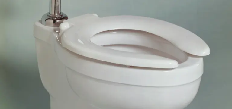 https://seed.com/wp-content/uploads/2025/03/SEO_DoProbioticsMakeYouPoop_Cultured_0225-768x362.jpg