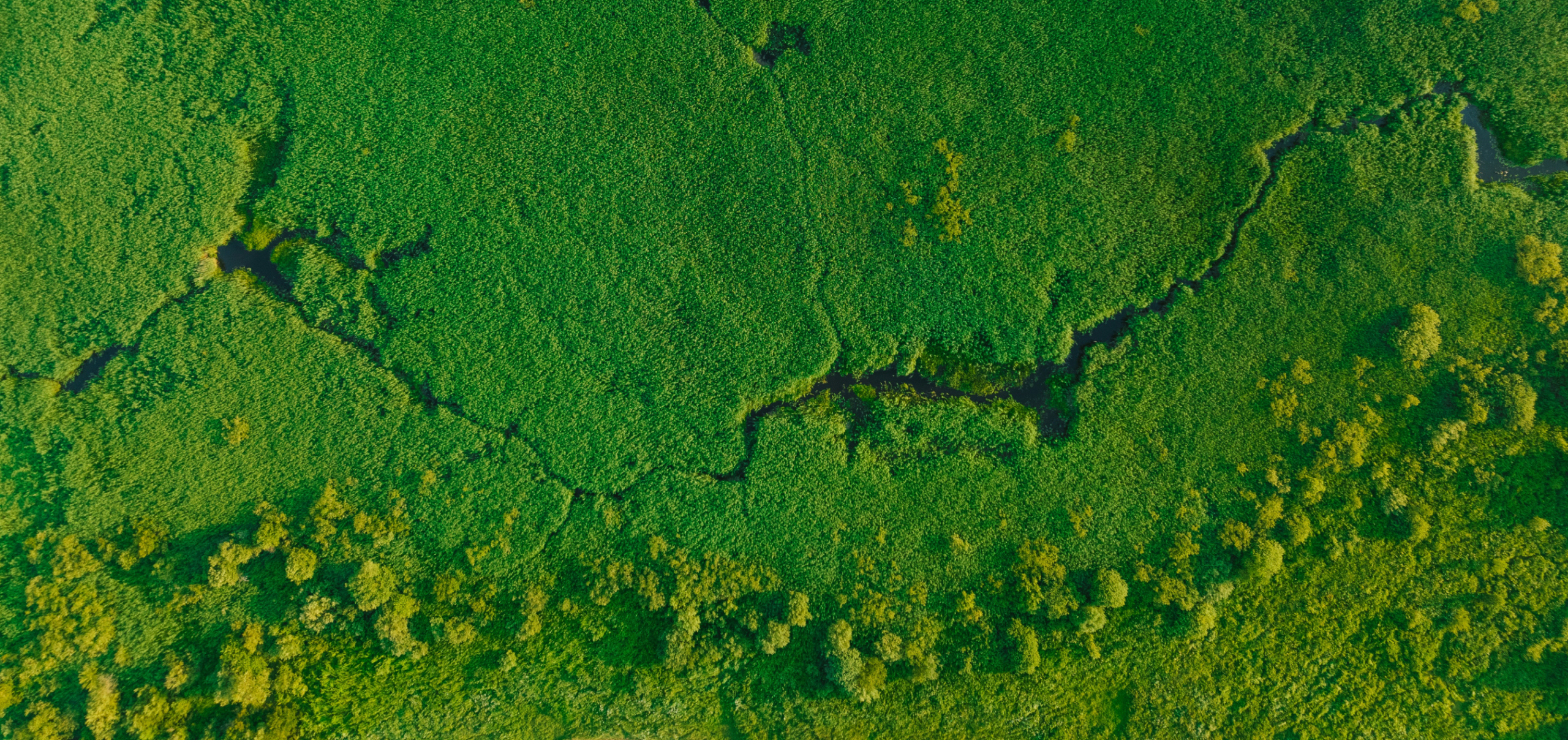 Meet The Microbes That “Eat” Harmful Methane Pollution