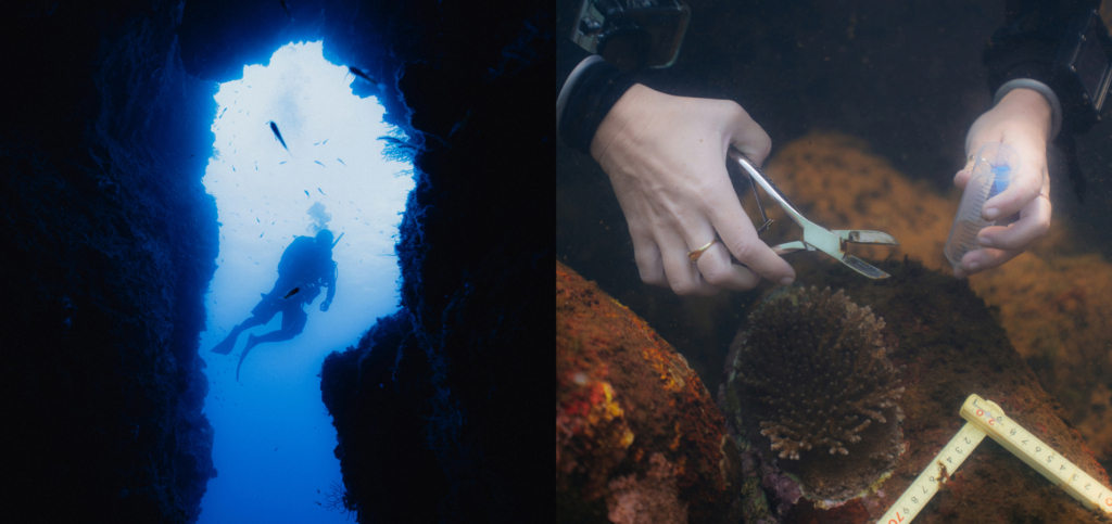 Scuba diver near underwater cave entrance and hands collecting coral sample with tools.