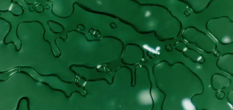 https://seed.com/wp-content/uploads/2025/04/SEO_Batch2_DigestiveEnzymesvsProbiotics_Cultured_0225-768x362.jpg