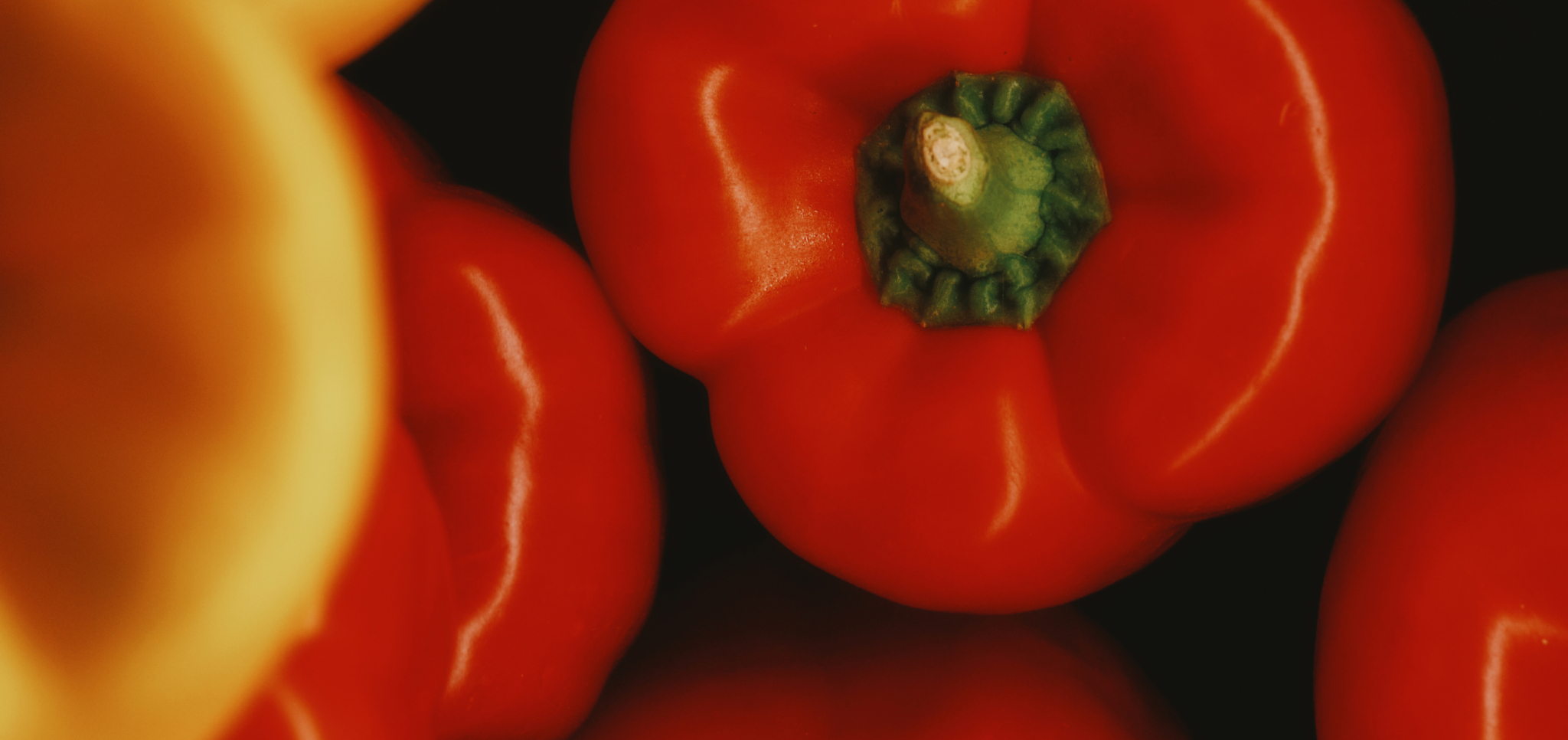 https://seed.com/wp-content/uploads/2025/04/TastetheRainbow-1024x483.jpeg