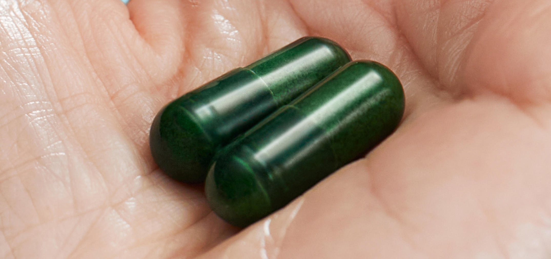 Probiotics for Gastritis: Can They Help?