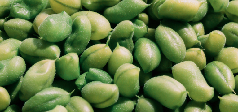 The Truth About Gut-Healthy Foods (and What to Skip)