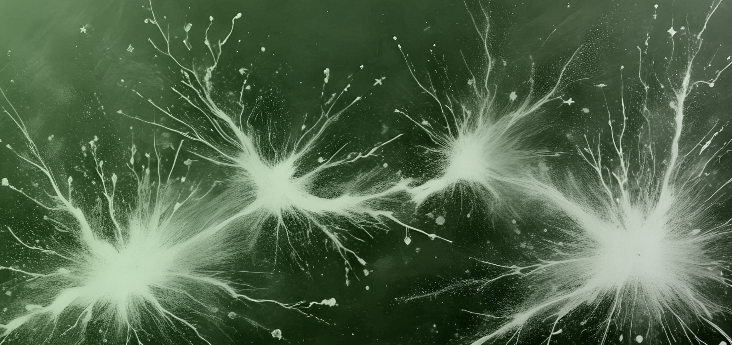 How to Choose Oxidative Stress Supplements (Hint: They’re a Package Deal)